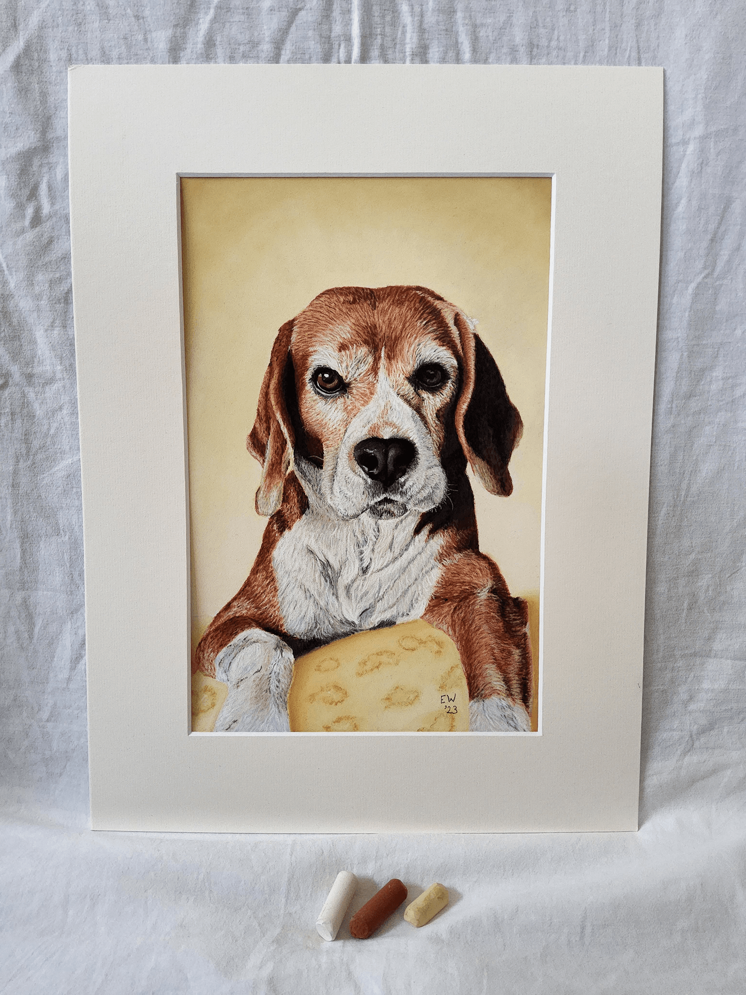 Beagle