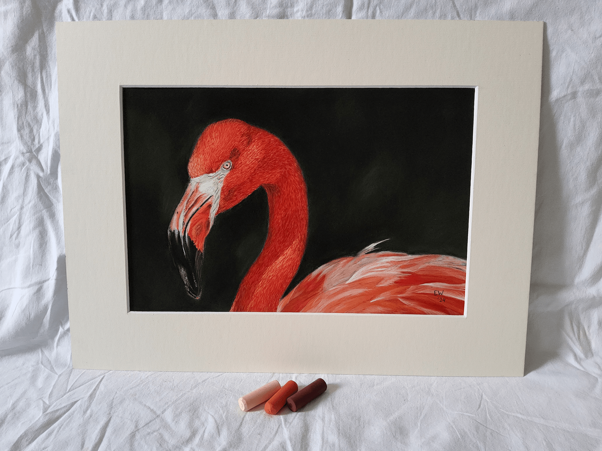 Flamingo