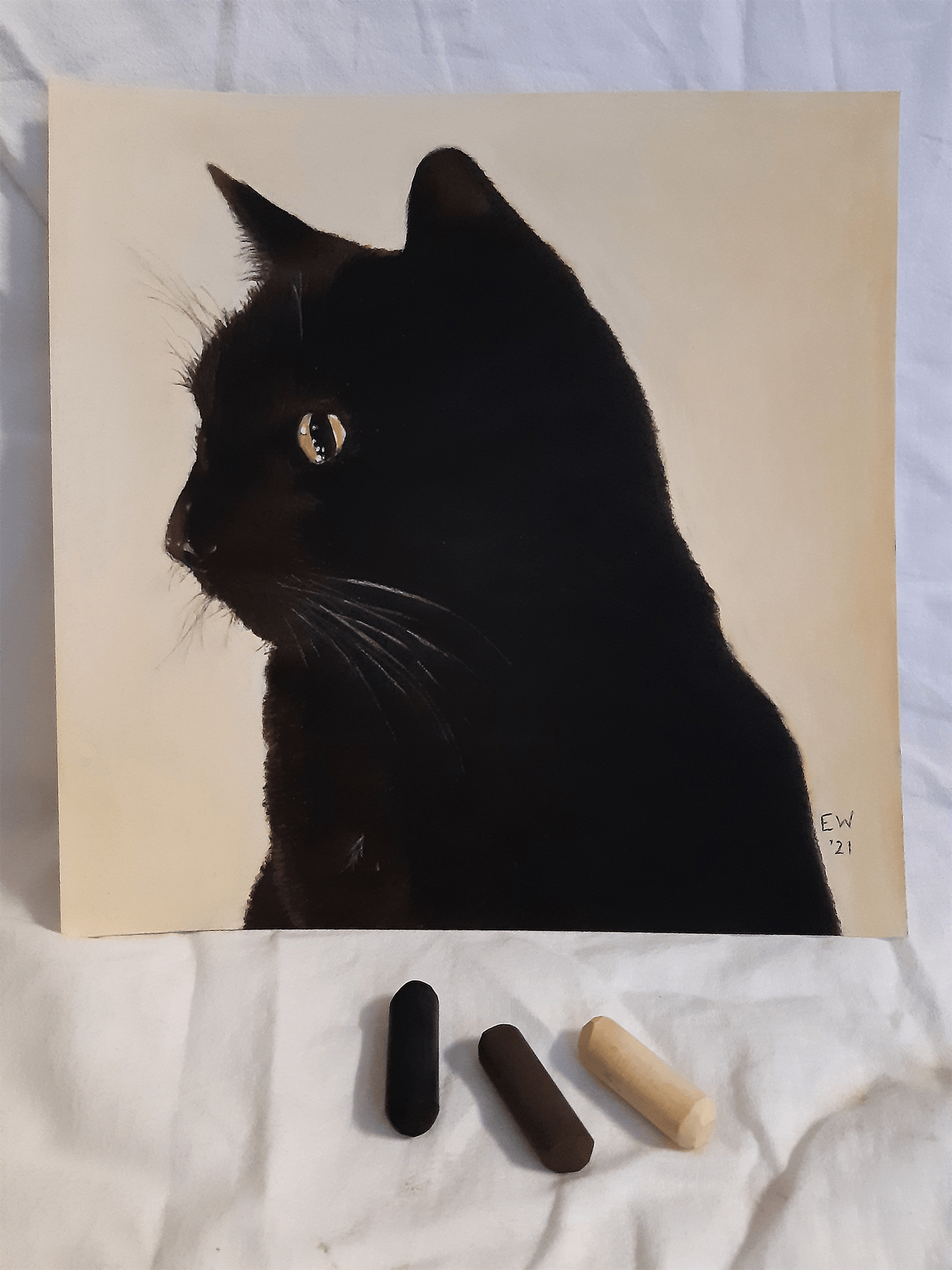 Portret van een kat