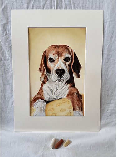 Beagle