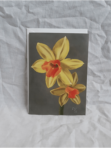 Narcissen