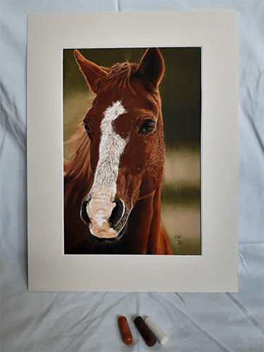 Portret van een paard