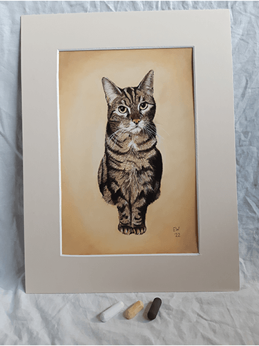 Portret van een kat